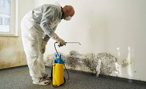 Mold Remediation for Vacation Homes in Eureka, CA